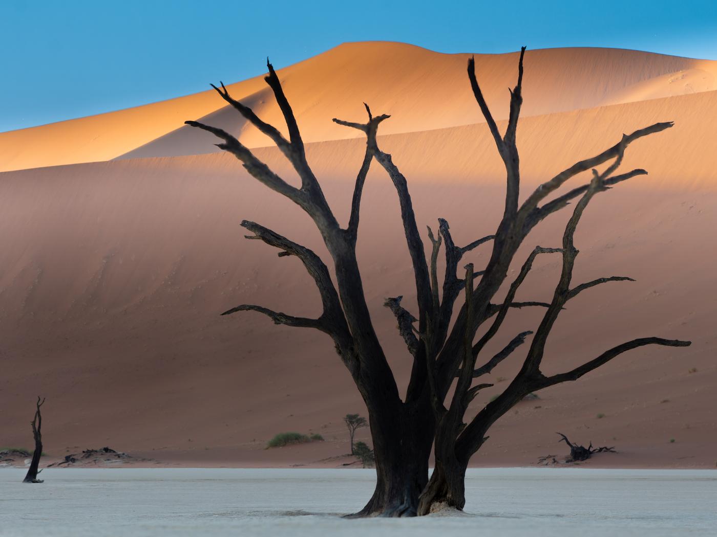 Frame M100